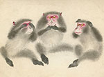 wise-monkeys